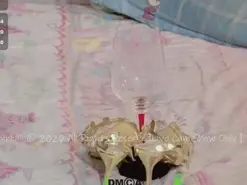 Amateur Watch Live Sex Cams of ribbinpink