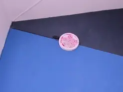 Amateur Live Porn of zaid_lionn