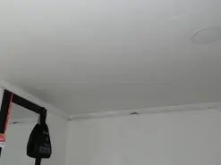 Amateur Sex Chat of latinaflower_ts