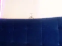 Amateur Free Live Porn of Iam_megan