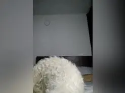 Amateur Nude Webcam of Gatubelu_75