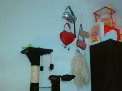 Amateur Live Sex of karol_scoott