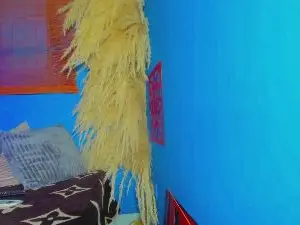Cam4 Live Porn of Valery_deluxe