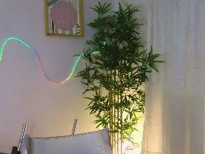 Cam4 Adult Webcam of alicemassiel