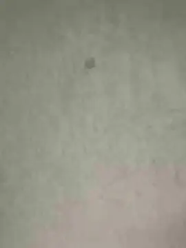 Cam4 Live Sex Cam of NaomiThompson