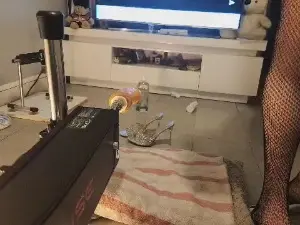 Cam4 Free Porn Cam of Lissatrav