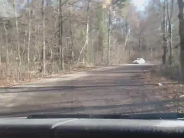 Cam4 Adult Webcams of sissy7436