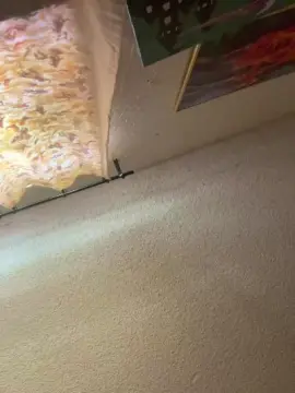 Cam4 Free Porn Cam of Femboi_todd