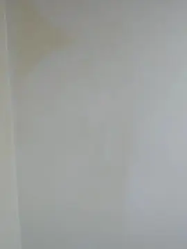 Cam4 Free Live Porn of Alexayoungn