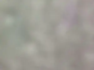 Cam4 Adult Video Chat of fattyy_sexy