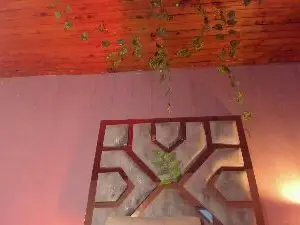 Cam4 Sex Chat of LILY_GARCIAXXX
