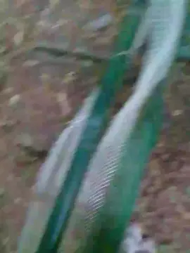Cam4 Adult Webcams of danilofuckal
