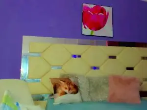 Cam4 Best Webcam of Zafaerahot