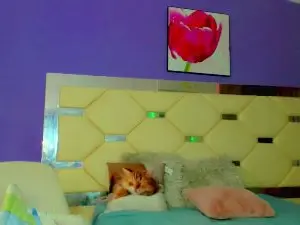 Cam4 Free Live Porn of Zafaerahot