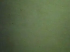 Cam4 Adult Video Chat of Nicolaas
