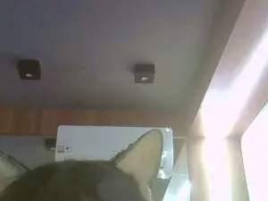 Cam4 Free Porn Cam of SkinnyKittenCam