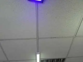 Camsoda Sex Chat of aisha-rx