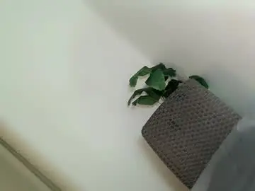 Chaturbate Adult Video Chat of ellah_bonita