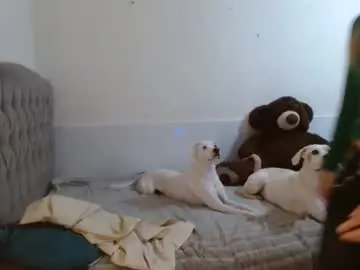 Chaturbate Best Webcam of tini_mix206927