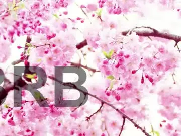 Chaturbate Best Webcam of lorraine_baker