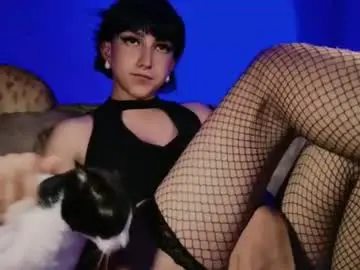 Chaturbate Adult Webcam of nalan_