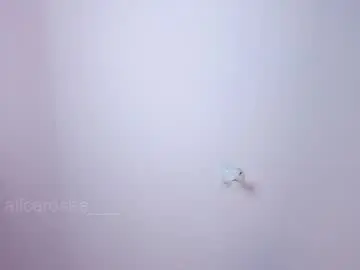 Chaturbate Sex Chat of alicerosee___