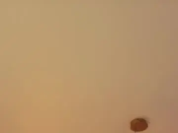 Chaturbate Adult Webcams of okerriella