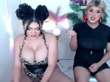 Chaturbate Private Sex Chat of 10incheskinkynastytrans