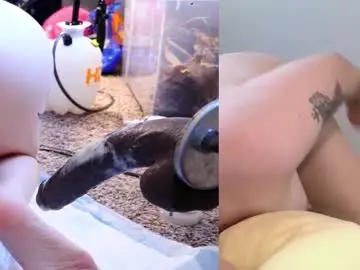 Chaturbate Private Sex Chat of princessofyourdreams