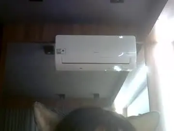 Chaturbate Adult Webcam of skinnykittencam