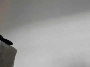 Chaturbate Free Porn Cam of sammy_exotic