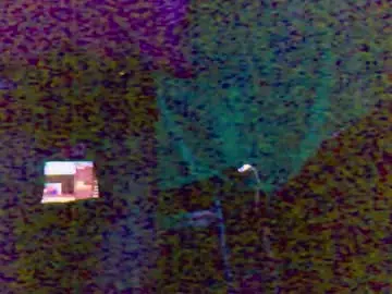 Chaturbate Adult Webcam of vladiskin