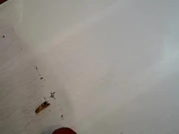 Chaturbate Private Sex Chat of pretty_molly18