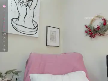 Chaturbate Nude Webcam of catalinaofficer