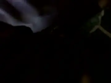 Chaturbate Best Webcam of transcendental_tara