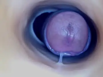 Chaturbate Nude Webcam of paulainoscente