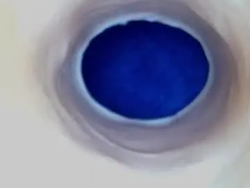 Chaturbate Live Sex Cam of paulainoscente