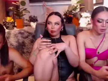 Chaturbate Best Webcam of transpornidol