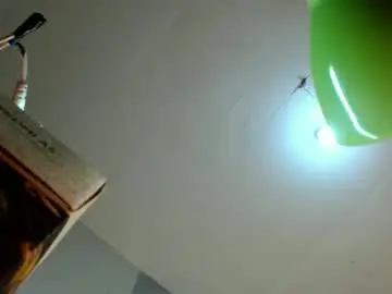 Chaturbate Sex Cam of ts_bellamoore