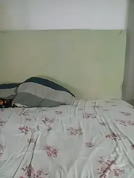 Stripchat Free Live Porn of TransBollat