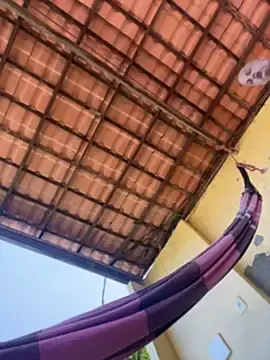 Stripchat Best Webcam of alicetgirlbr