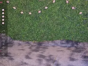 Stripchat Sex Cam of EkaterinaUpple