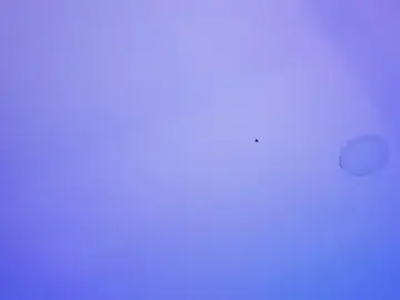 Stripchat Adult Webcam of Marily_Daniela_