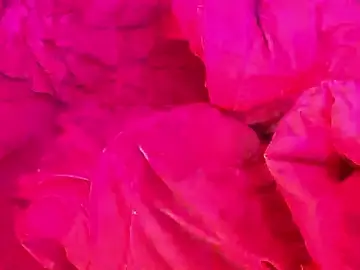 Stripchat Free Porn Cam of gurlnips