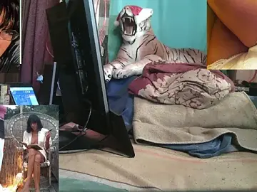 Stripchat Adult Webcams of SissiDomination